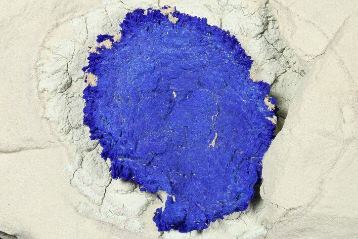 Vibrant Blue Azurite Sun on Siltstone - Australia #188428